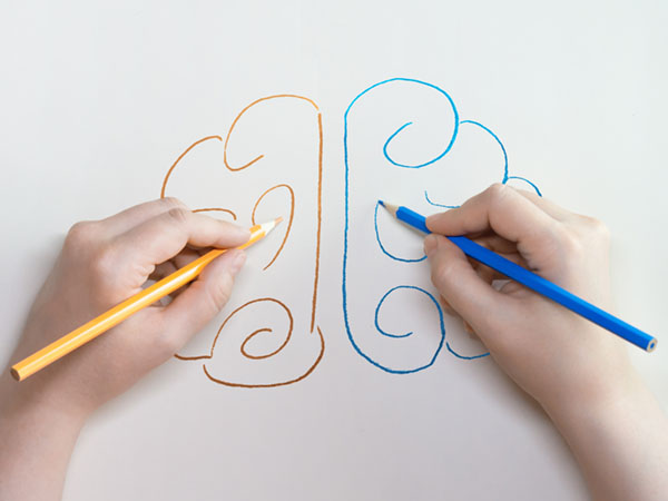 Hands drawing symmetrical brain halves with colored pencils.