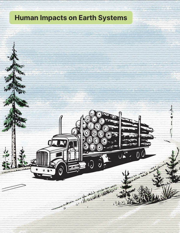 Truck carrying logs on a road through forest.