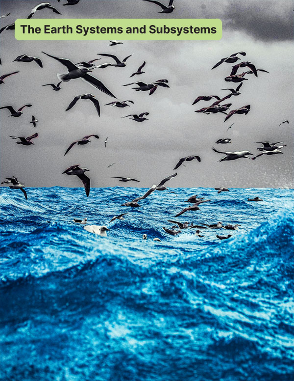 Seabirds flying over a rough ocean with the text ‘The Earth Systems and Subsystems’ in a green label at the top.