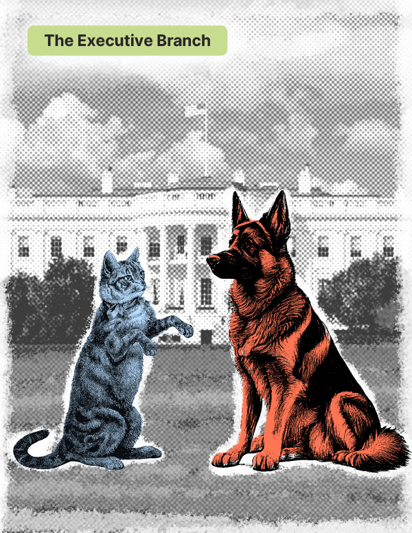 Cat and dog in front of the White House.