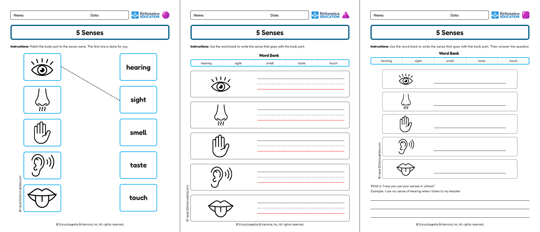 Three 5 Senses worksheets showing matching, labeling, and writing activities.