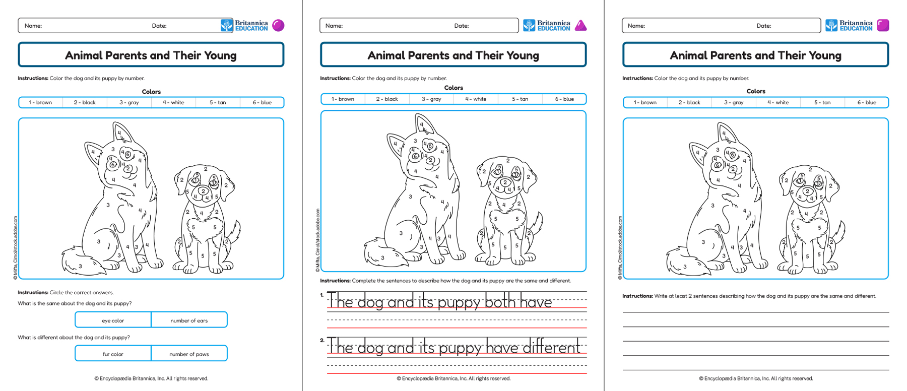 Three Animal Parents and Their Young worksheets showing writing and coloring activities.