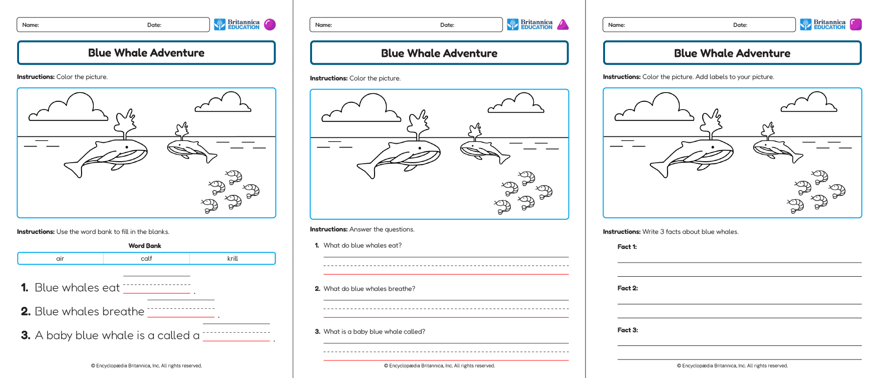 Three Blue Whale Adventure worksheets showing coloring and writing activities.