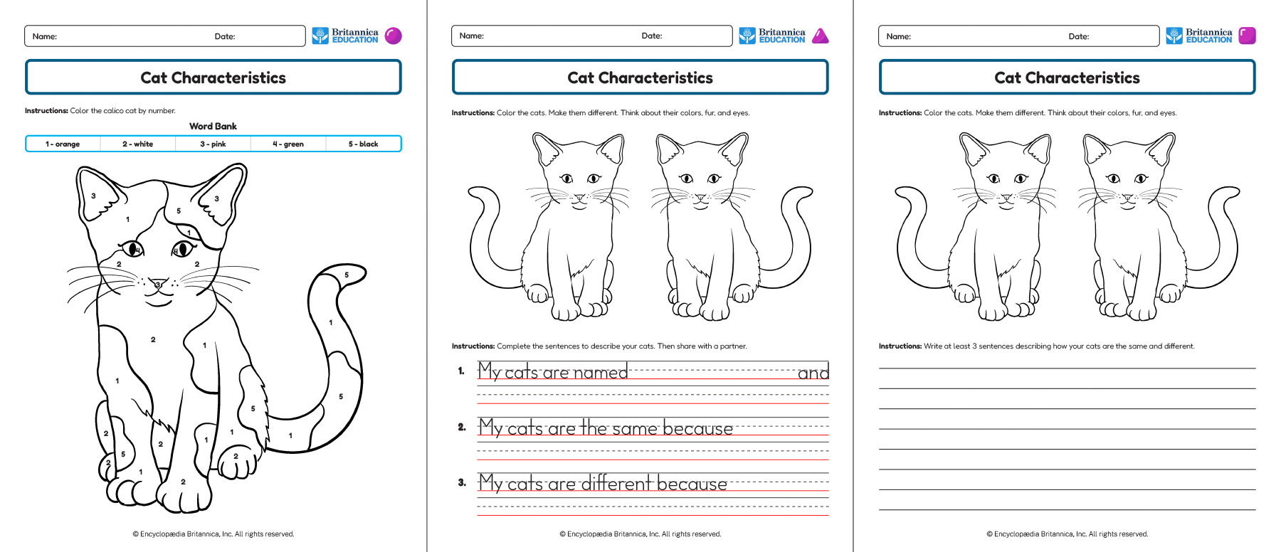 Three Cat Characteristics worksheets showing coloring, drawing, and writing activities.