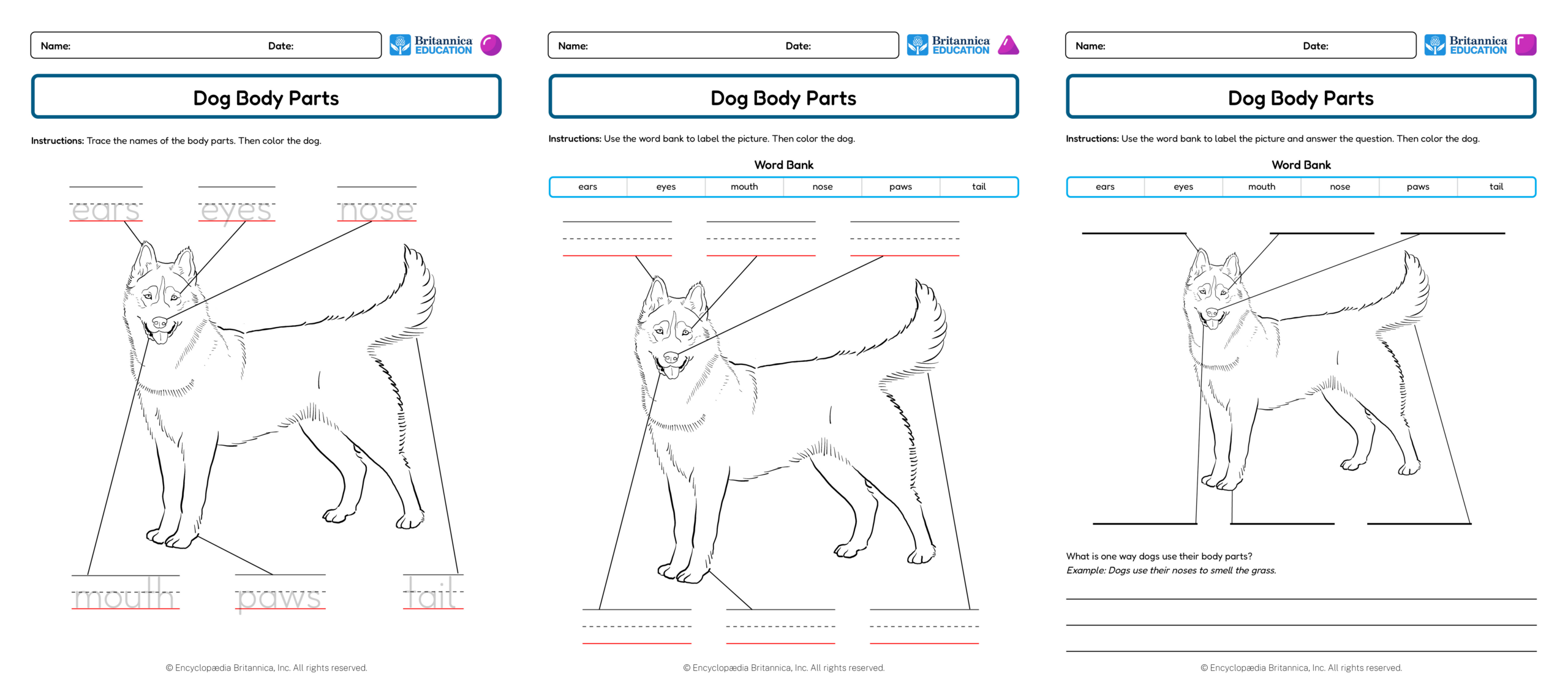 Three dog body parts worksheets showing tracing, labeling, and writing activities with a dog illustration.
