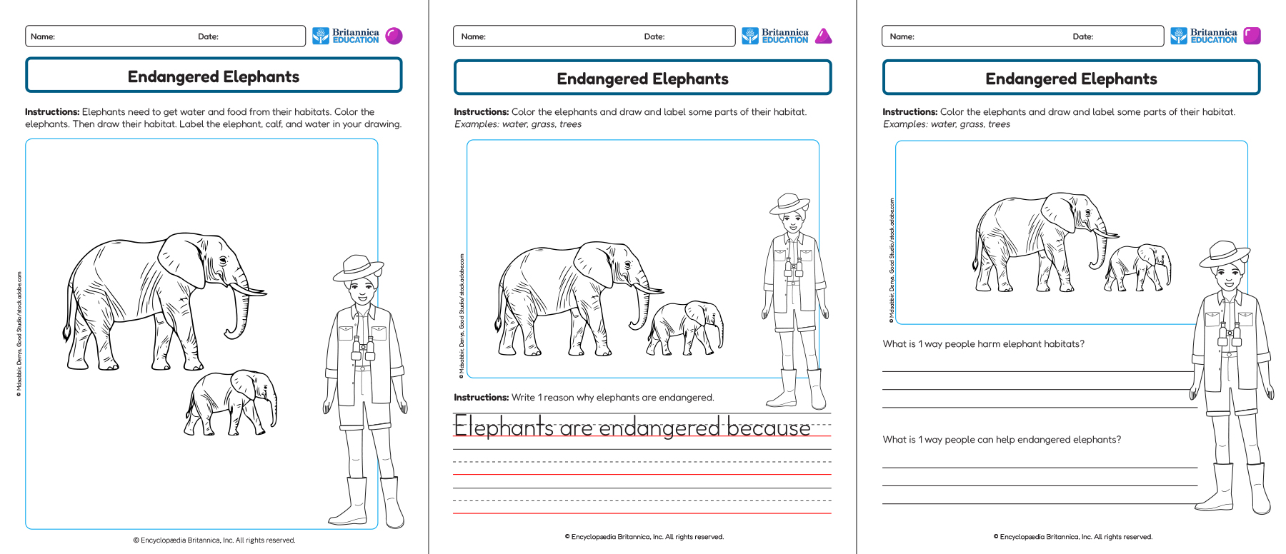 Three Endangered Elephants worksheets showing coloring, drawing, and writing activities.
