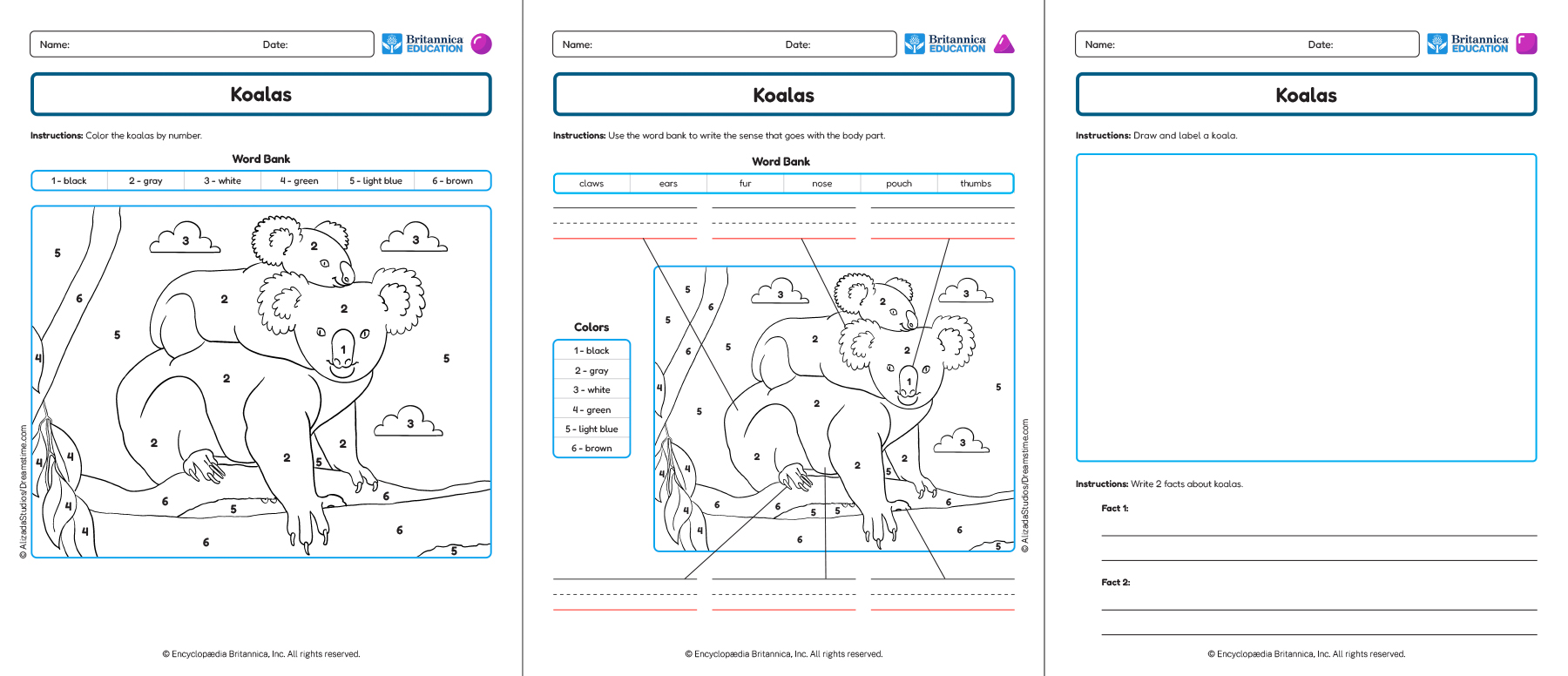 Three Koala worksheets showing labeling, drawing, and writing activities.