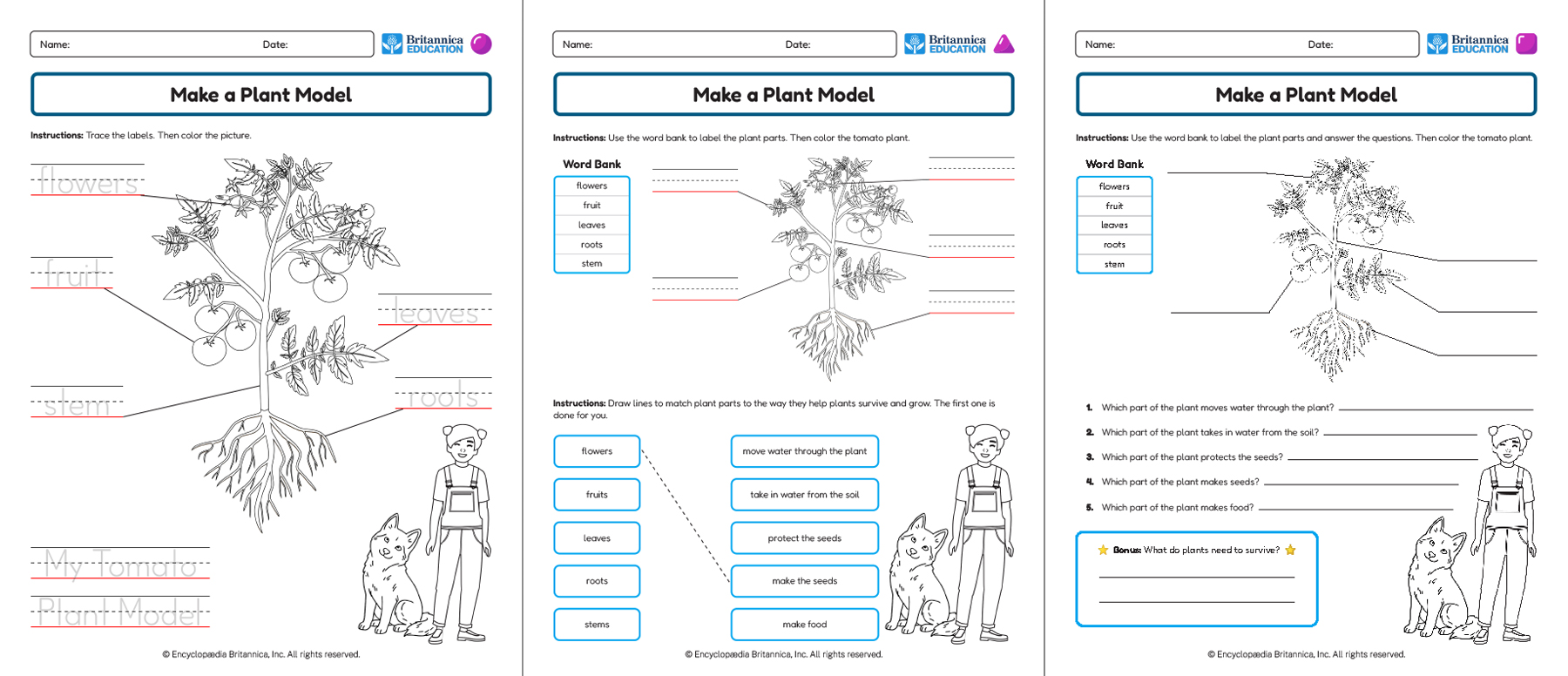 Three Make a Plant Model worksheets showing labeling and writing activities.