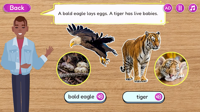 Interactive image of a character talking about features of a bald eagle and a tiger.