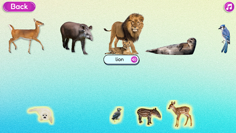 Interactive image of a group of adult animals and baby animals.