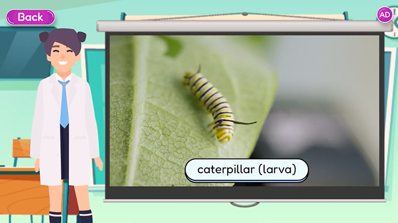 Interactive image of a character standing next to a screen that shows a labeled image of a caterpillar on a leaf.