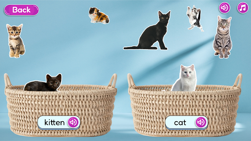 Interactive image of a cat and kitten sort.
