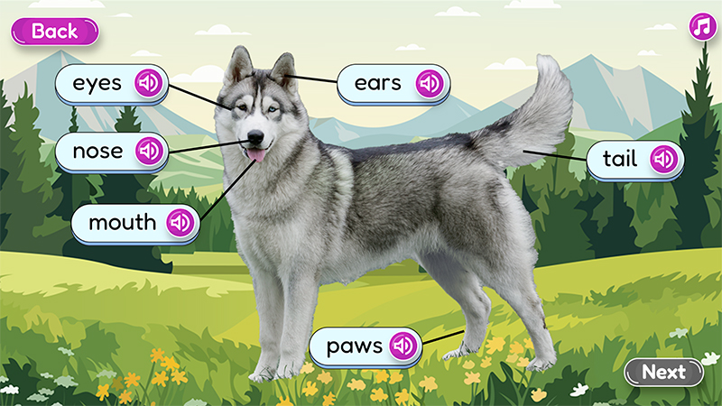 Interactive image of a dog with labels pointing to its eyes, ears, nose, mouth, paws, and tail.