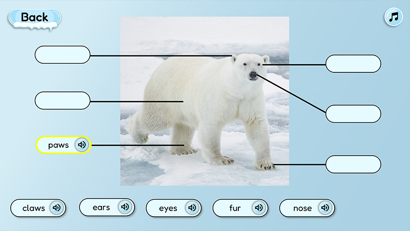 Interactive image of a polar bear with labels.