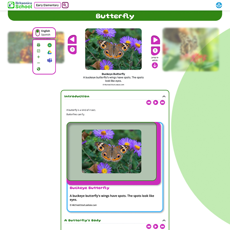 Britannica School web page about butterflies with a photo of a buckeye butterfly.