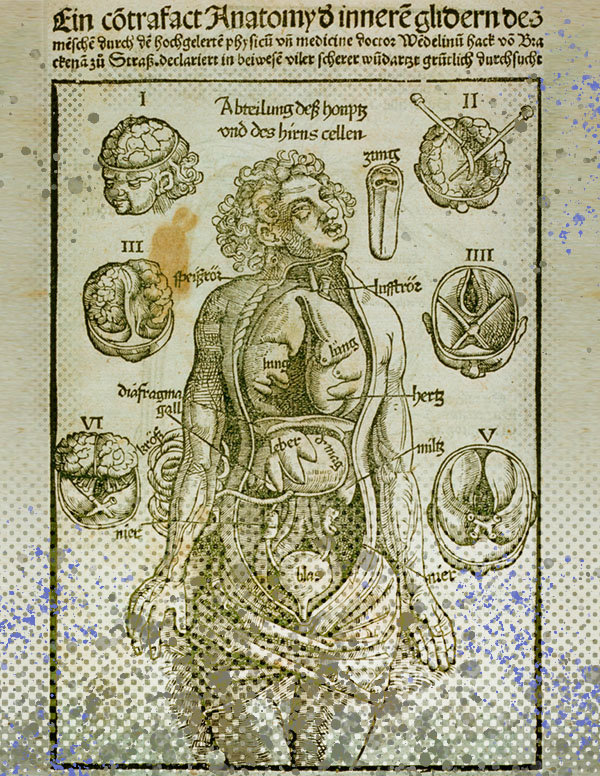 Vintage anatomical illustration of human body with labeled organs and brain diagrams.