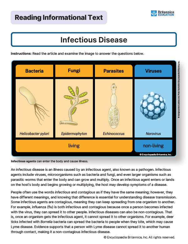 Image of a worksheet showing infectious disease agents: bacteria, fungi, parasites, and viruses.