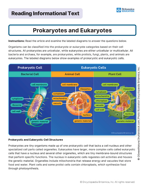 Image of worksheet comparing prokaryotic and eukaryotic cell structures with labeled diagrams.